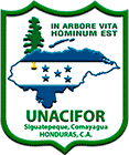 Unacifor Moodle